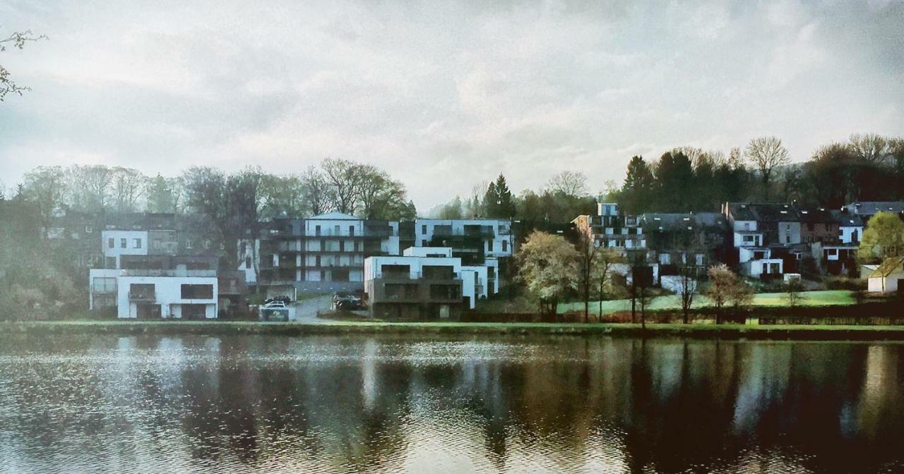La Reposee Du Lac Apartment วีแยลซาลม์ ภายนอก รูปภาพ