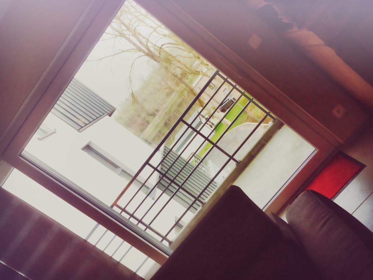 La Reposee Du Lac Apartment วีแยลซาลม์ ภายนอก รูปภาพ