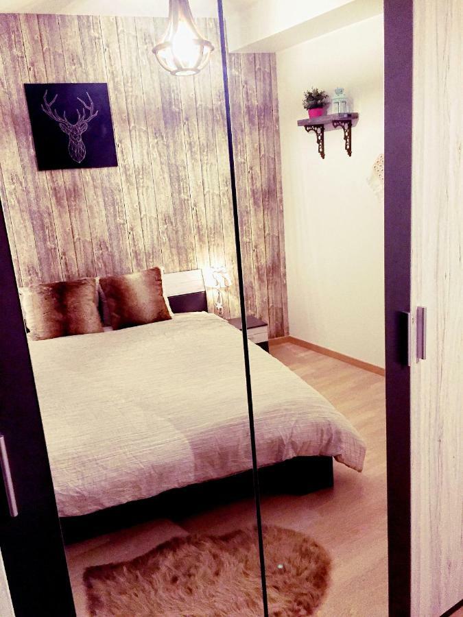 La Reposee Du Lac Apartment วีแยลซาลม์ ภายนอก รูปภาพ